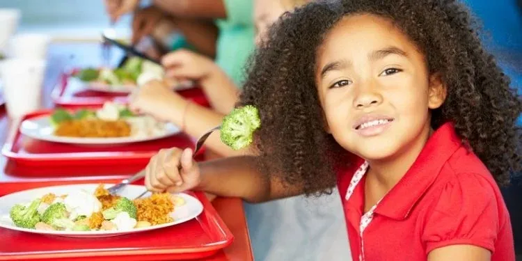 Inscrições abertas para a 7ª Jornada de Educação Alimentar e Nutricional