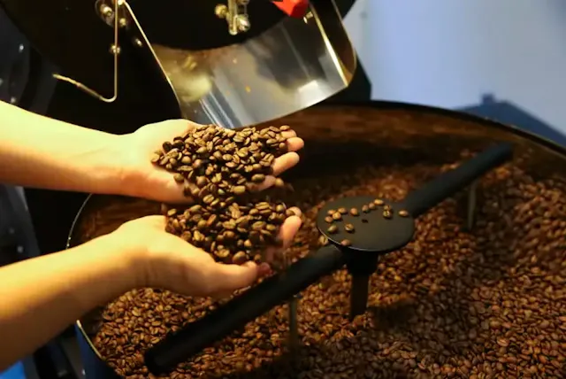 Café vai ficar mais barato? Especialistas explicam quando o consumidor pode sentir alívio