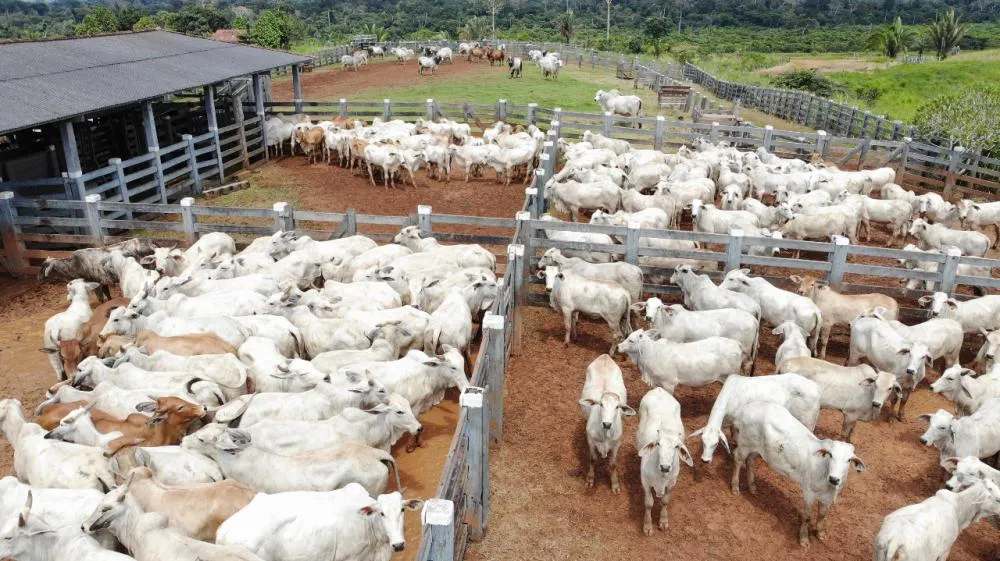 Biosseguridade será abordada no 6° Fórum Rondoniense na Rondônia Rural Show, nesta quinta-feira, 23