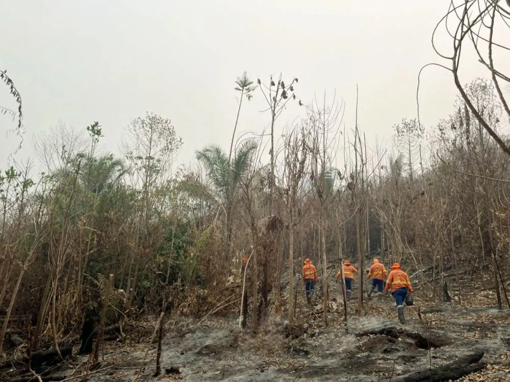 Após solicitação de Cláudia de Jesus, governo vai contratar bombeiro civil para combater incêndios